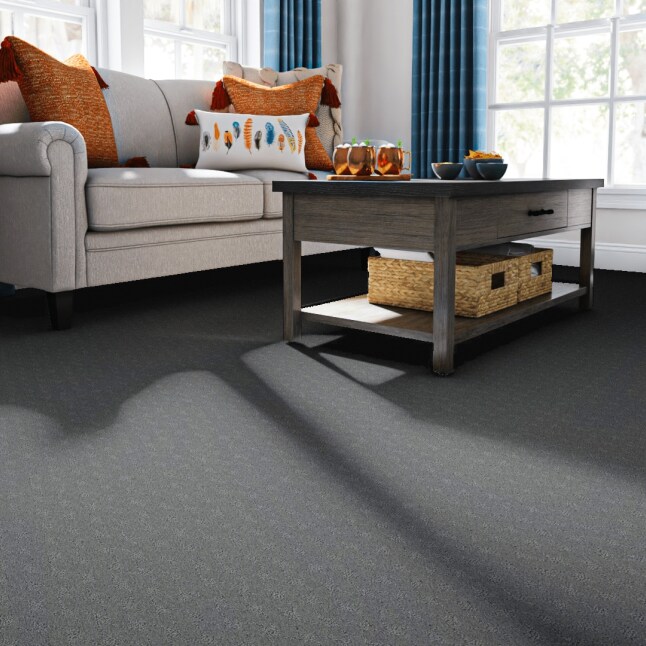 STAINMASTER PetProtect LU775-W0015-1200-AB Carpet-Panel - View #2