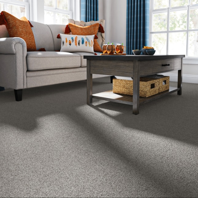STAINMASTER 7L86900508 Carpet-Panel - View #2