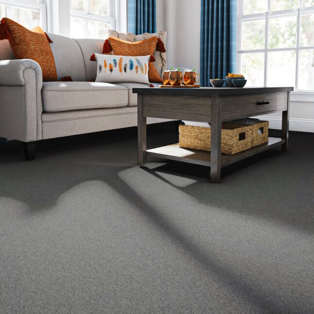 STAINMASTER PetProtect 7L90600538 Carpet-Panel - View #2