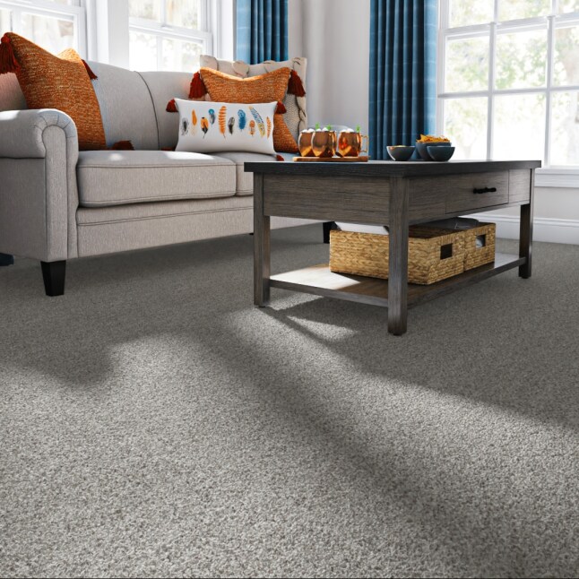 STAINMASTER LU483-9513I Carpet-Samples - View #2