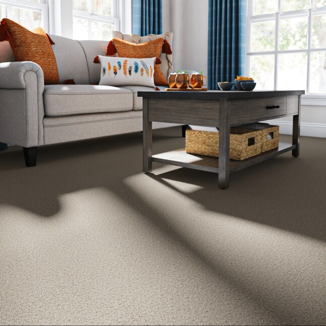 STAINMASTER PetProtect S9066-912-1200-MO Carpet-Panel - View #2