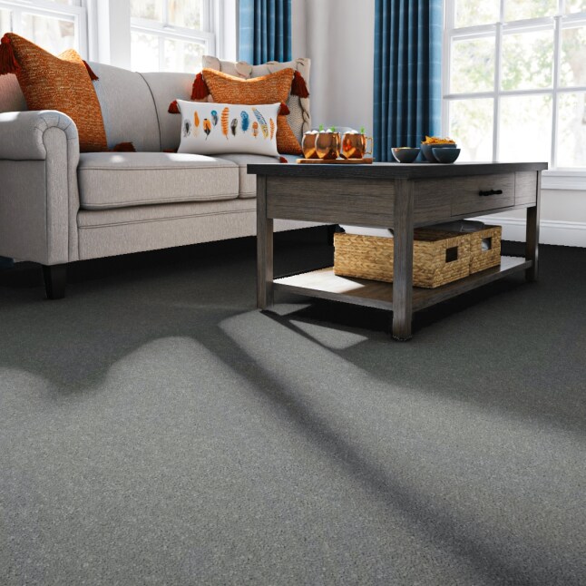 STAINMASTER 7L764-503-SAMP Carpet-Samples - View #2