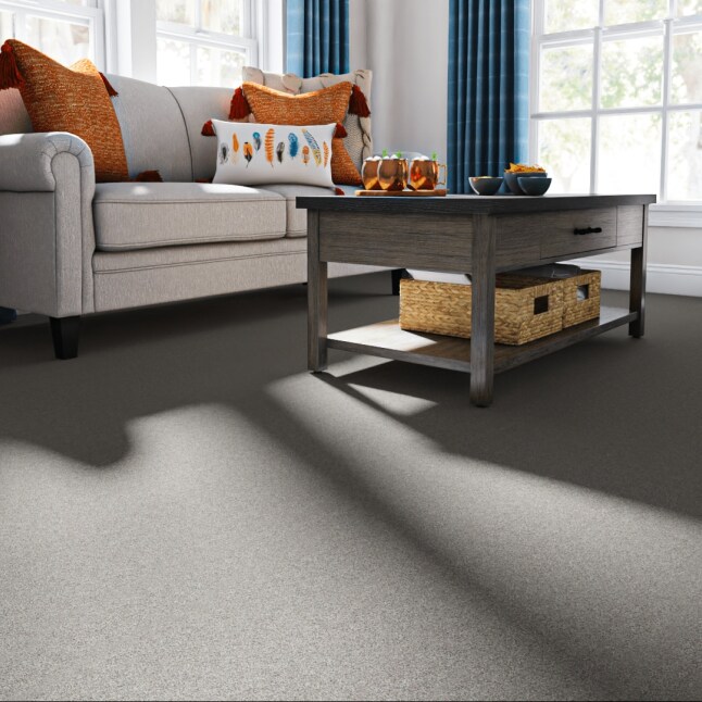STAINMASTER PetProtect 7L92900537 Carpet-Panel - View #2