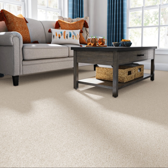 STAINMASTER STP67-L010-0808 Carpet-Samples - View #2
