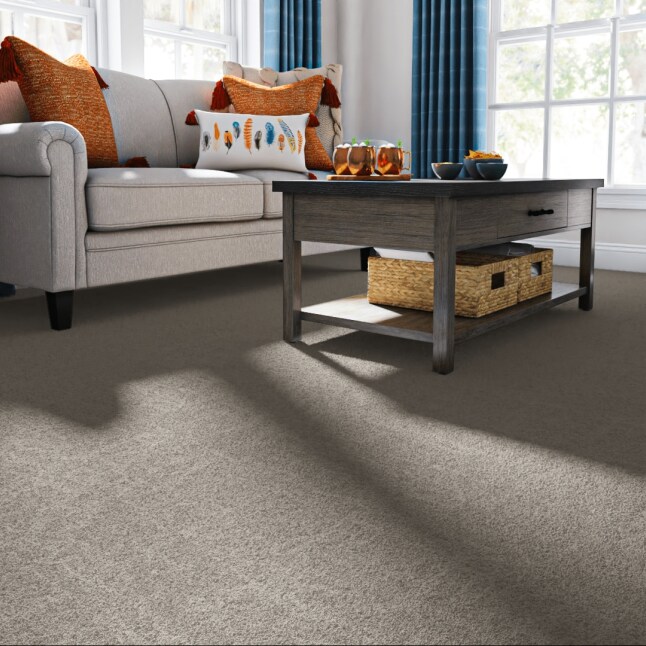STAINMASTER PetProtect 7L893 - 750 - SAMP Carpet-Samples - View #2