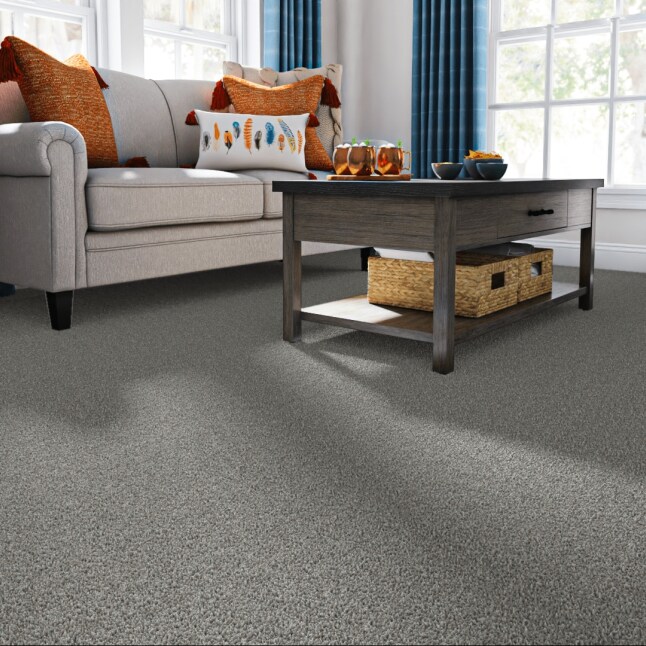 STAINMASTER 7L895 - 403 - SAMP Carpet-Samples - View #2