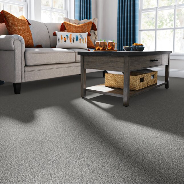 Style Selections SS001-L001-0808 Carpet-Samples - View #2