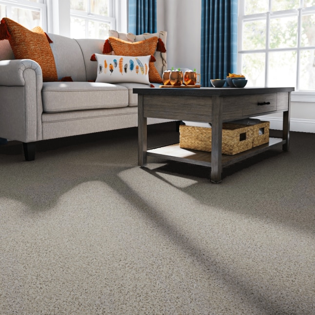 STAINMASTER 7L911 - 171 - SAMP Carpet-Samples - View #2