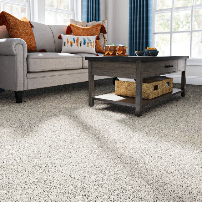 STAINMASTER STP41-L005-0808 Carpet-Samples - View #2