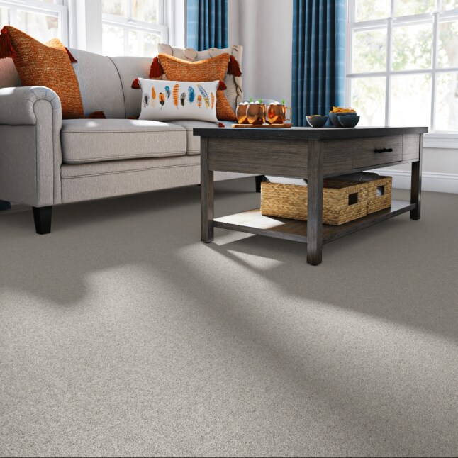 STAINMASTER PetProtect 7L884 - 503 - SAMP Carpet-Samples - View #2