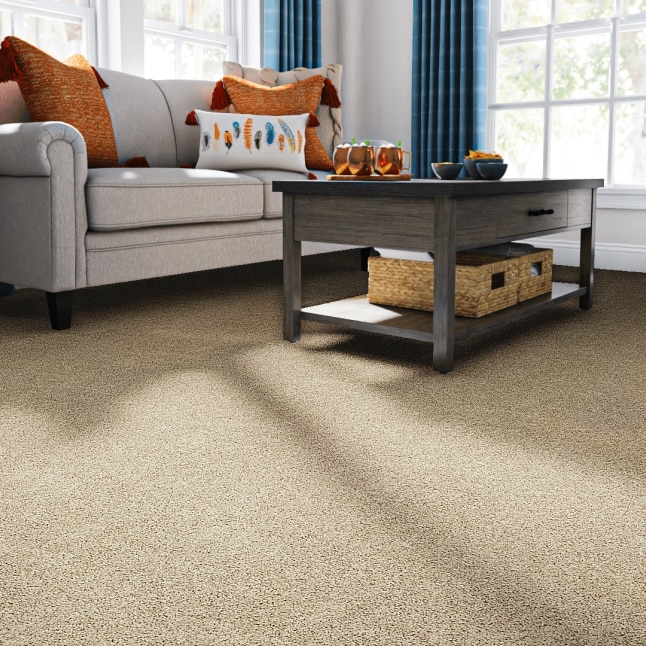 STAINMASTER LW186-12-L008 Carpet-Panel - View #2