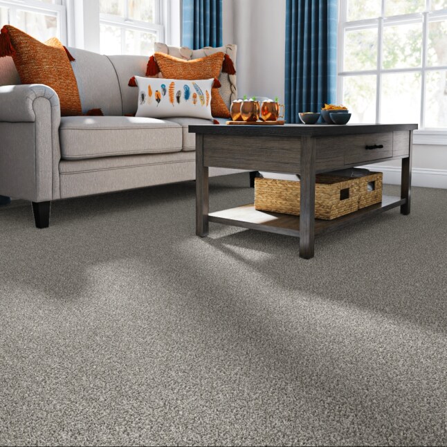STAINMASTER FB049-305-1200-AB Carpet-Panel - View #2