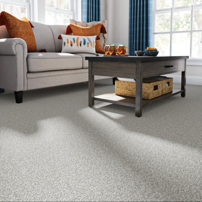 STAINMASTER PetProtect STP46-12-L007 Carpet-Panel - View #2