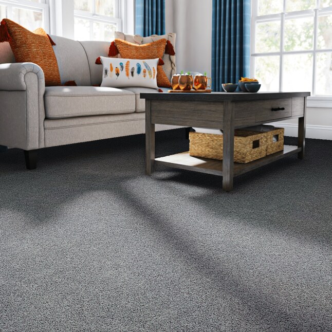 STAINMASTER STP67-12-L011 Carpet-Panel - View #2
