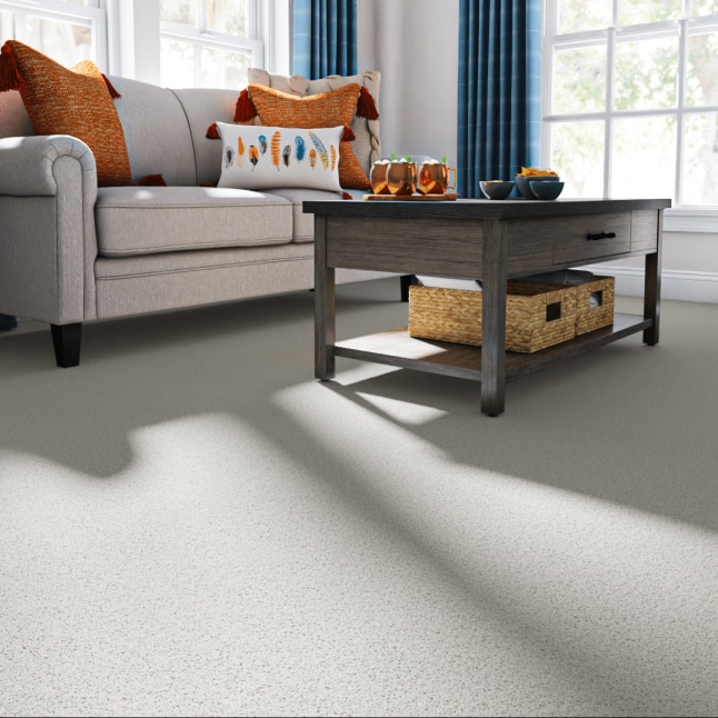 STAINMASTER PetProtect 7L91100177 Carpet-Panel - View #2