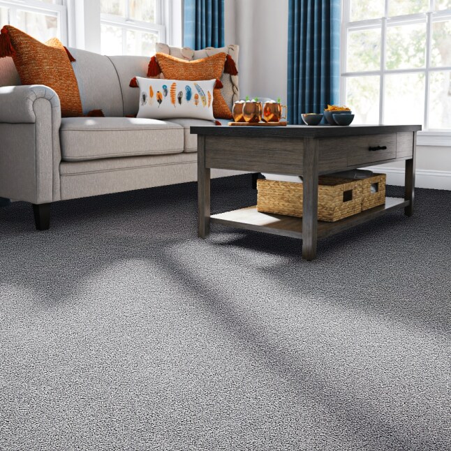 STAINMASTER PetProtect 7L881 - 400 - SAMP Carpet-Samples - View #2