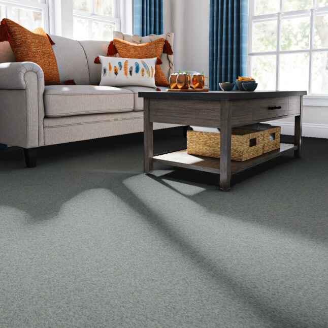 STAINMASTER 7L797-512T-SAMP Carpet-Samples - View #2