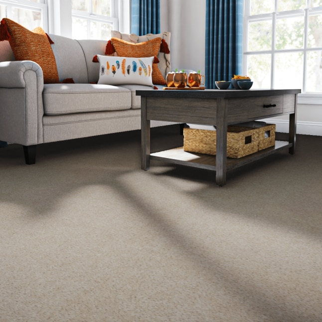 STAINMASTER STP22-L006-0808 Carpet-Samples - View #2