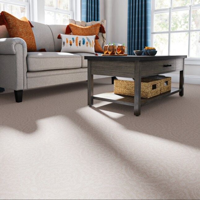 STAINMASTER LU746-9513B Carpet-Samples - View #2