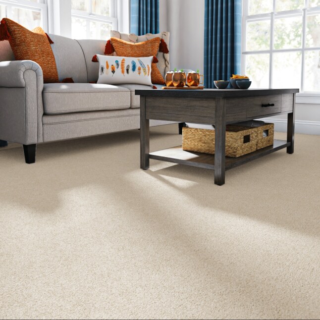 STAINMASTER STP65-L015-0808 Carpet-Samples - View #2