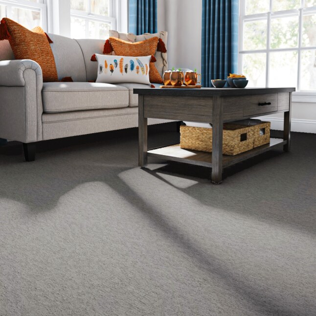 STAINMASTER PetProtect 7L851 - 104 - SAMP Carpet-Samples - View #2