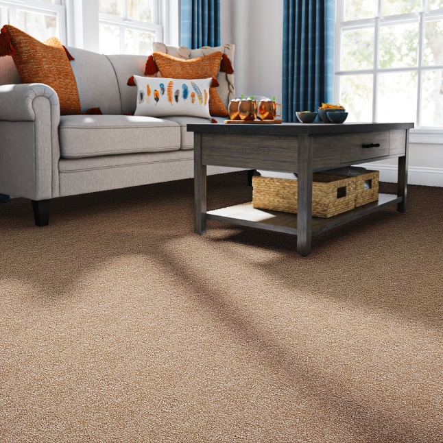 STAINMASTER PetProtect 7L88300700 Carpet-Panel - View #2