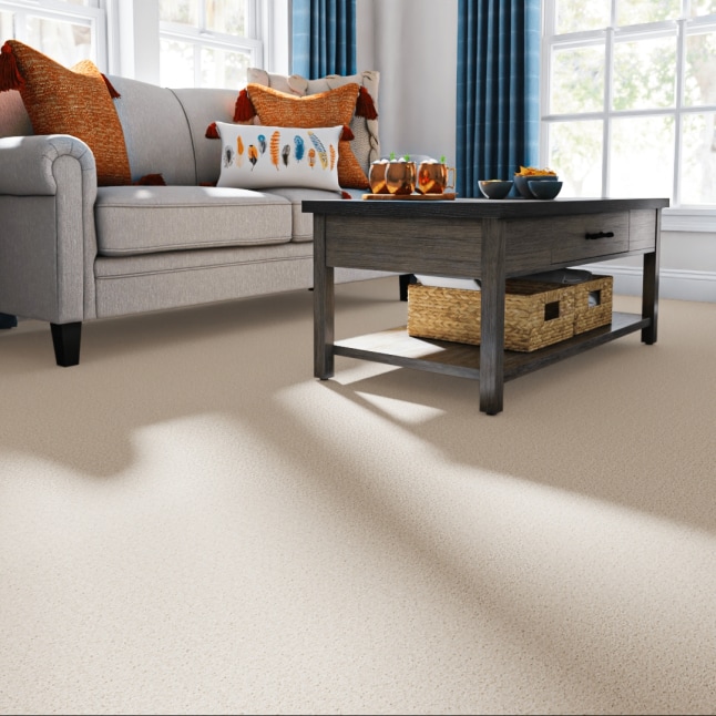 Style Selections SS001-L021-0808 Carpet-Samples - View #2