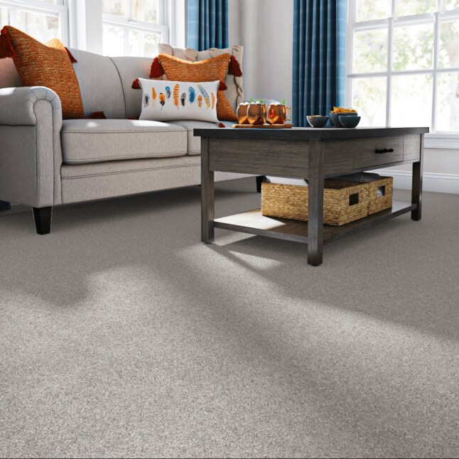 STAINMASTER 7L871 - 501 - SAMP Carpet-Samples - View #2