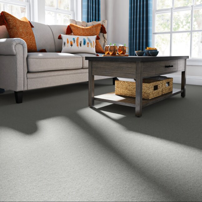 STAINMASTER 7L908 - 307 - SAMP Carpet-Samples - View #2