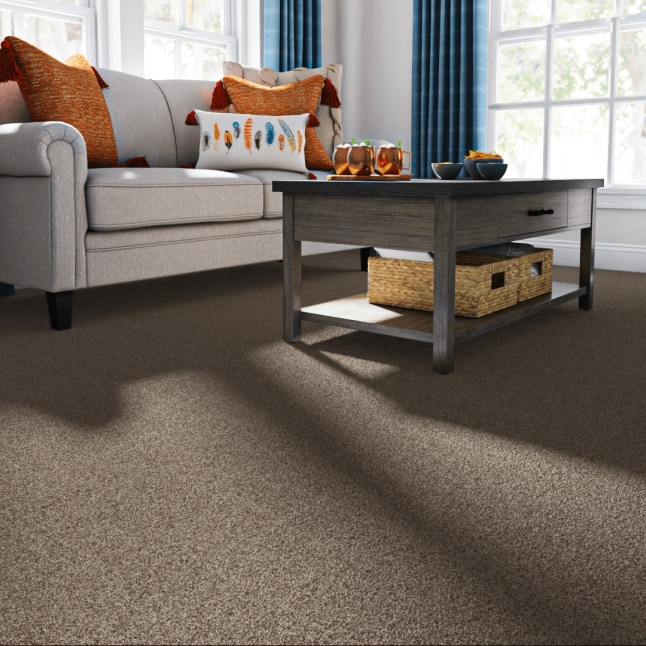 STAINMASTER 7L869 - 113 - SAMP Carpet-Samples - View #2