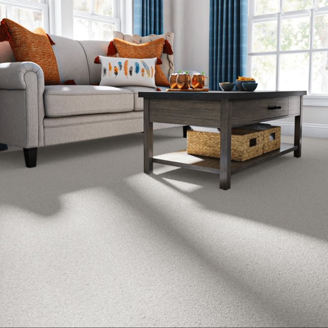 STAINMASTER 7L870 - 100 - SAMP Carpet-Samples - View #2