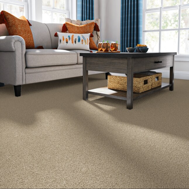 STAINMASTER 7L87200700 Carpet-Panel - View #2
