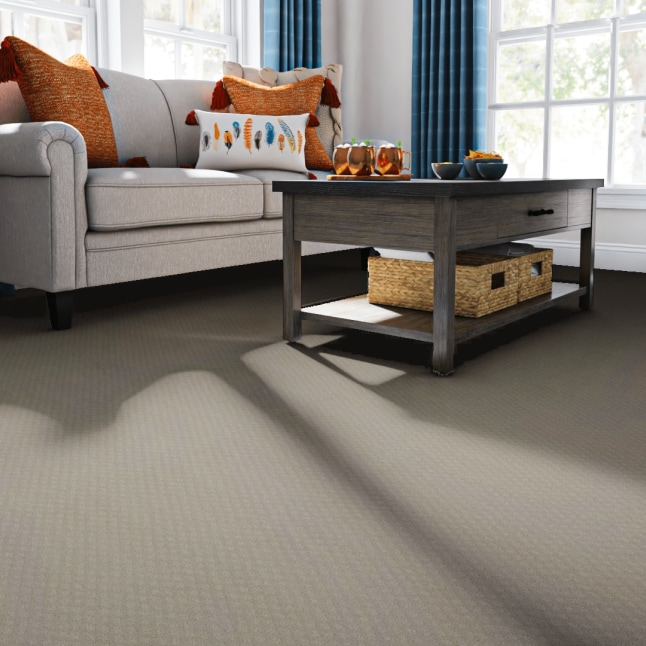 STAINMASTER 7L90400173 Carpet-Panel - View #2