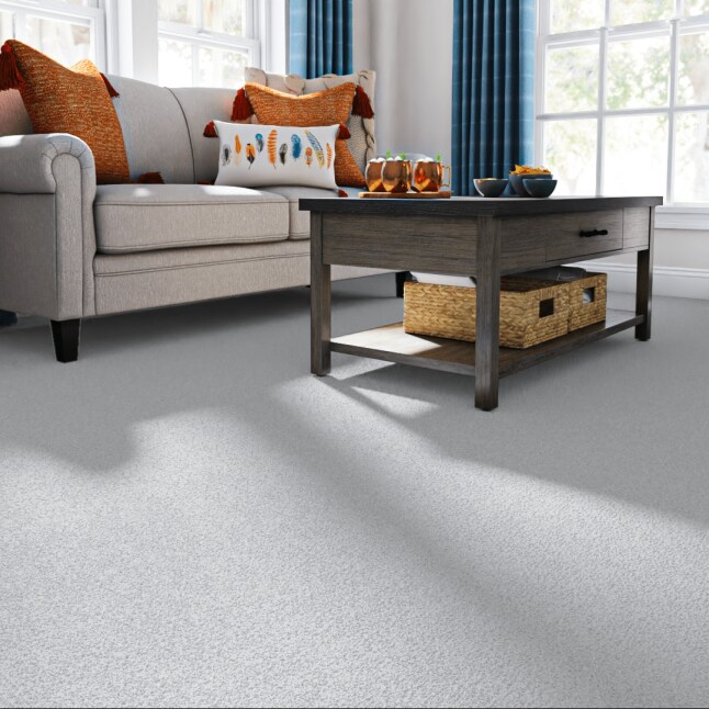 STAINMASTER 7L86100453 Carpet-Panel - View #2