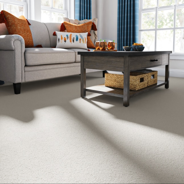 STAINMASTER STP65-L003-0808 Carpet-Samples - View #2