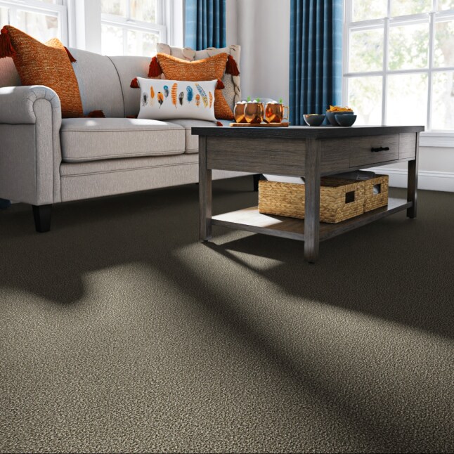 STAINMASTER STP62-12-L006 Carpet-Panel - View #2
