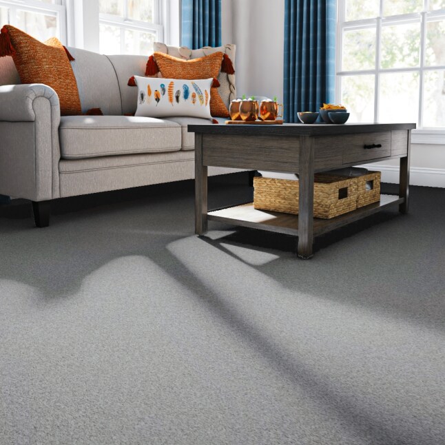 STAINMASTER 7L85700115 Carpet-Panel - View #2