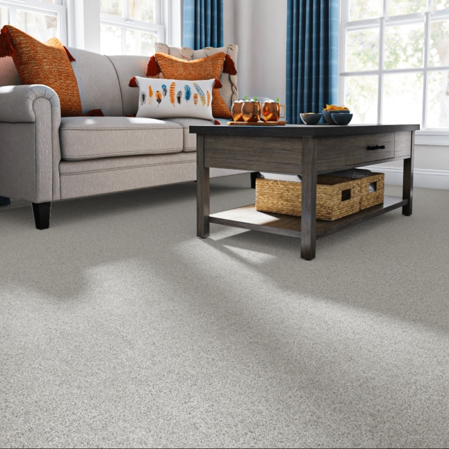 STAINMASTER PetProtect 7L87800512 Carpet-Panel - View #2
