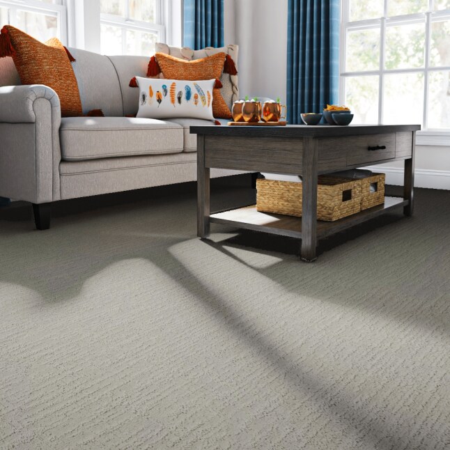 STAINMASTER PetProtect 7L85200143 Carpet-Panel - View #2