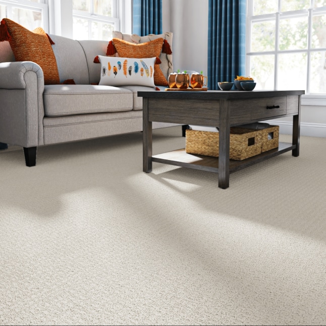 STAINMASTER 7L903 - 175 - SAMP Carpet-Samples - View #2