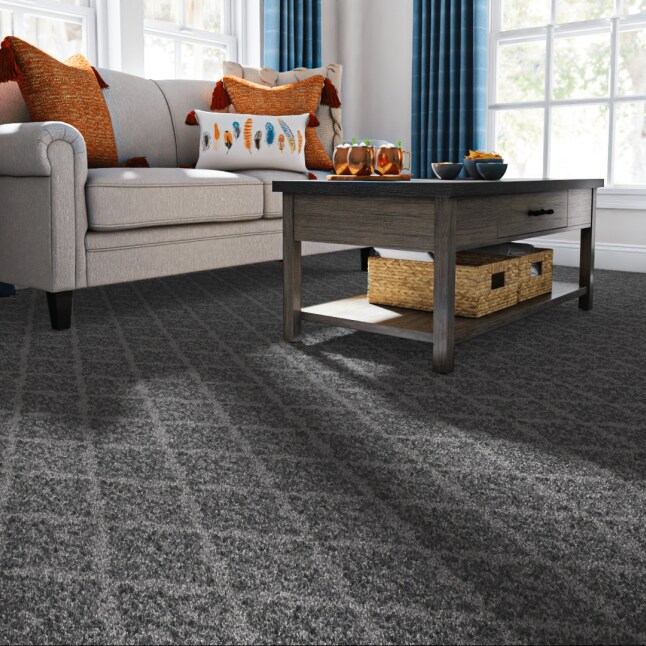 STAINMASTER LU750-9513H Carpet-Samples - View #2