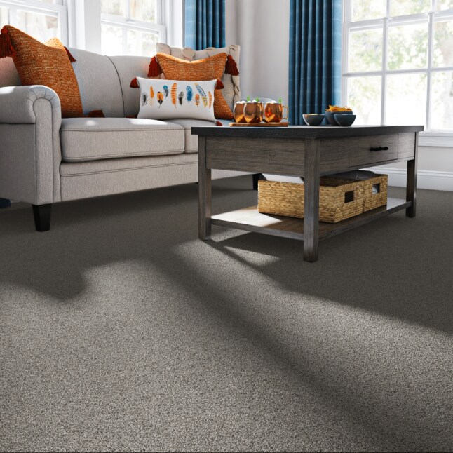 STAINMASTER 7L910 - 571 - SAMP Carpet-Samples - View #2