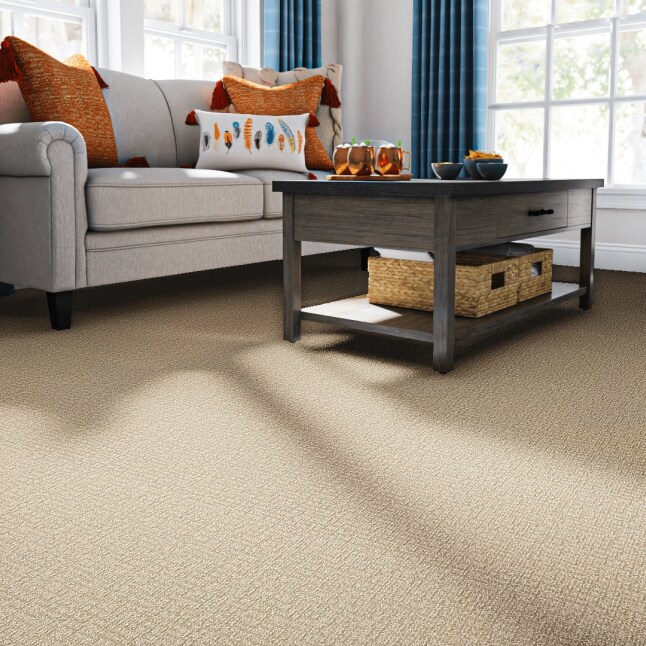 STAINMASTER S9536-765-1200-MO Carpet-Panel - View #2