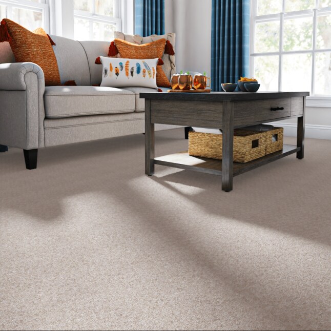 STAINMASTER LU740-9513C Carpet-Samples - View #2