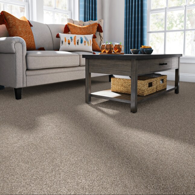 STAINMASTER PetProtect 7L85800756 Carpet-Panel - View #2