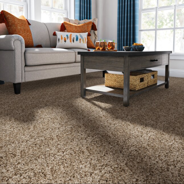 STAINMASTER R1440-100-1200-AB Carpet-Panel - View #2