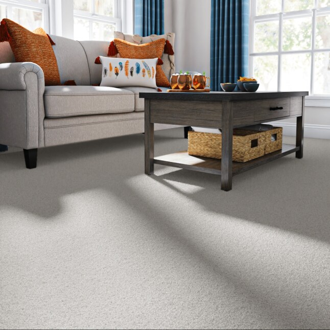 STAINMASTER 7L878 - 142 - SAMP Carpet-Samples - View #2