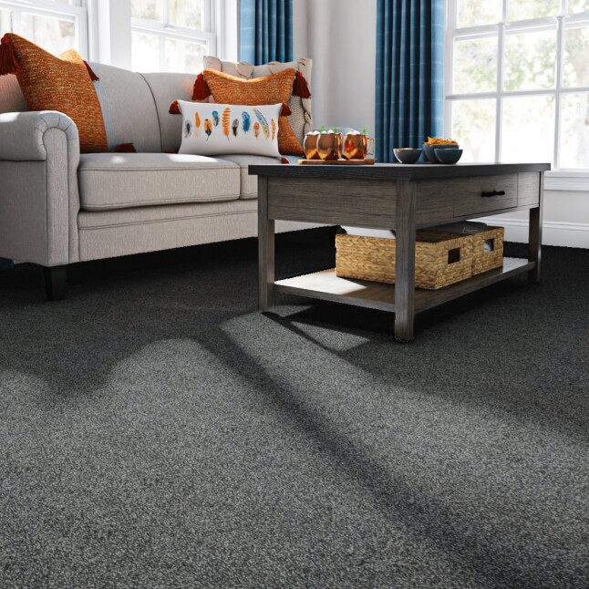 STAINMASTER 7L857 - 411 - SAMP Carpet-Samples - View #2