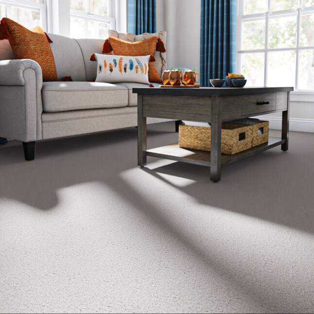 STAINMASTER PetProtect STP55-L001-0808 Carpet-Samples - View #2