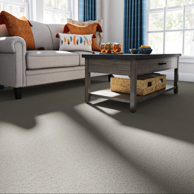 STAINMASTER 7L878 - 744 - SAMP Carpet-Samples - View #2
